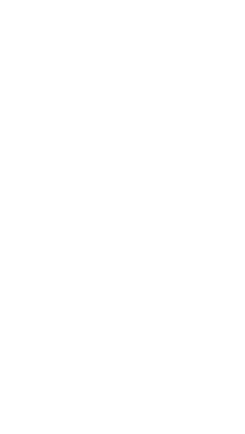 Swiss Made